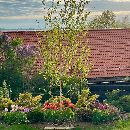 Villa Mazurska Z Bala W Ogonkach