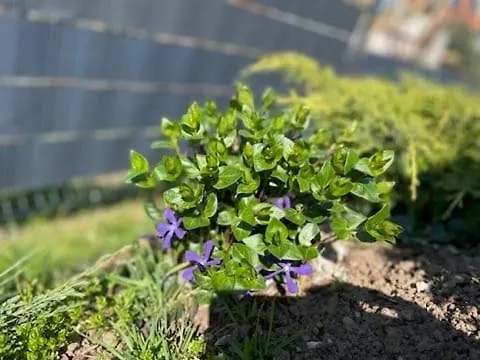 Jakimowka Vila Ogonki