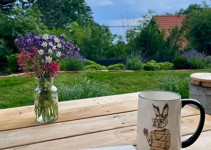 Vila Jakimowka Ogonki